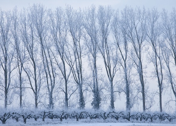 The Landscape Photographer's Calendar: what to shoot in December